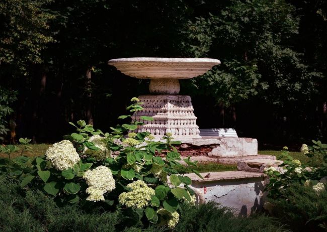 🌳 Нескучный сад — пейзажный парк в Москве, сохранившийся от дворянской усадьбы Нескучное  Фото: Inna..