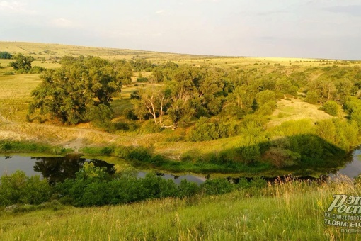 🌳 Пейзажи в окрестностях реки..