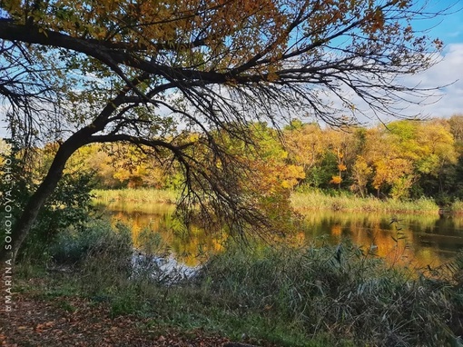 🍂 Осенние мотивы... а скоро осень. Кто-то её ждёт?  Фото: Марина..