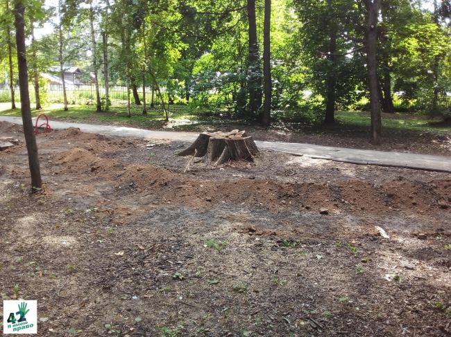 🚜🌳🪓  Несколько лет администрация Нижегородского района безуспешно пыталась начать благоустройство в..