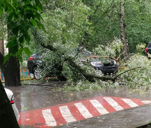 Зябликово. У кого то не доброе..