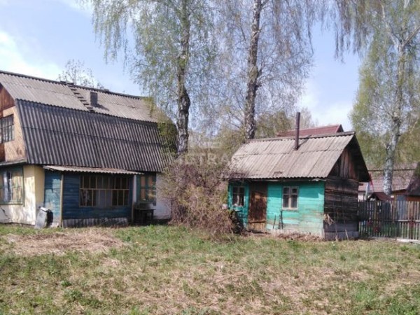 В Новосибирской области на берегу Оби нашли тело председателя СНТ  Трагедия произошла в Новосибирском..