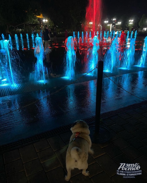 ⛲ Прогулка в парке..