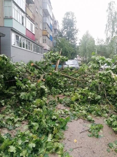 🗣️ Арзамас пострадал от ночной непогоды  Из-за сильного ветра и дождя в городе упало примерно 30 деревьев...