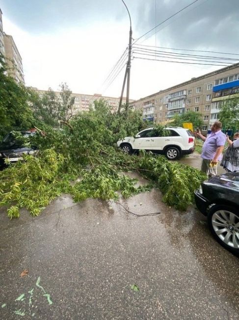 🗣️ Арзамас пострадал от ночной непогоды  Из-за сильного ветра и дождя в городе упало примерно 30 деревьев...