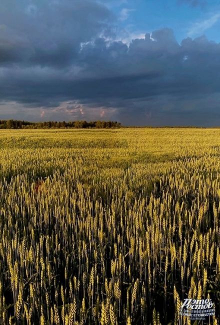 В полях перед грозой..