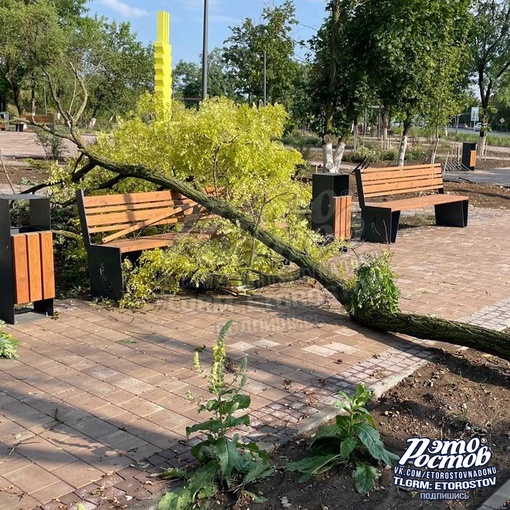 🌳⚡ Последствия вчерашнего урагана под Таганрогом, в селе Покровcкоe. В парках повалило деревья, на улице..