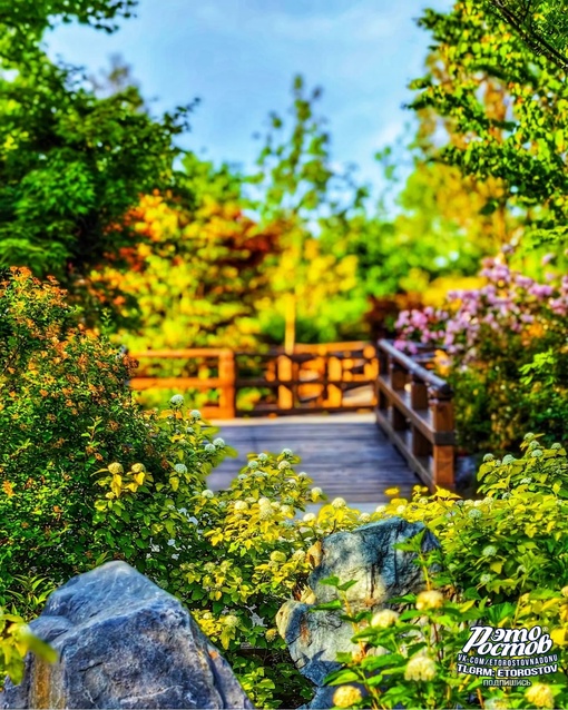 🌳🌺 Японский сад в парке Галицкого в Краснодаре. До чего же красиво!..