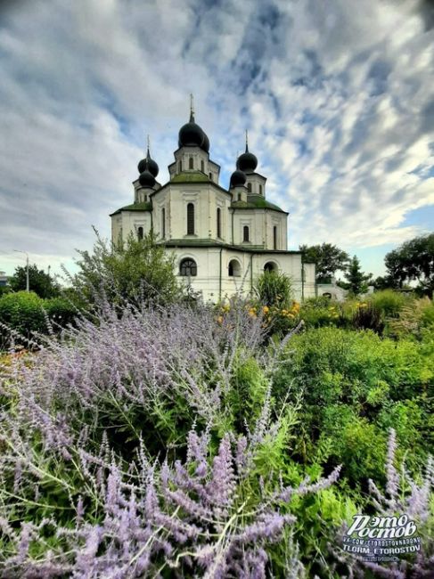 Лето в станице Старочеркасской 💚  Фото: Наталья..