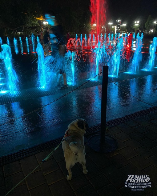 ⛲ Прогулка в парке..