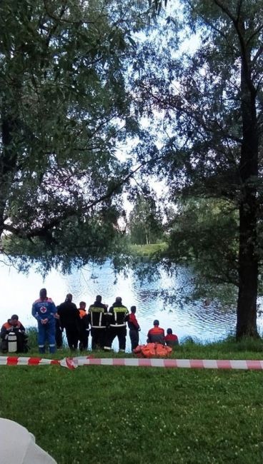 😱В Муринском парке, в ручье в районе улицы Демьяна Бедного, утонула..