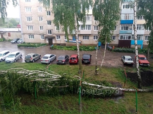 🗣️ В Арзамасском районе прямо сейчас ураганный ветер и ливень  Последствия — сорванные крыши и упавшие..