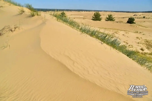 🏝Донская пустыня - уникальный природный объект Верхнедонского района  🏜  Представляет собой опустыненый..