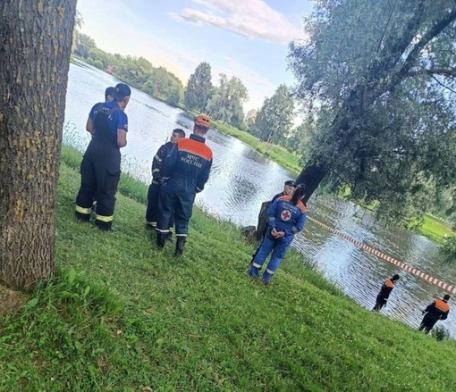 😱В Муринском парке, в ручье в районе улицы Демьяна Бедного, утонула..