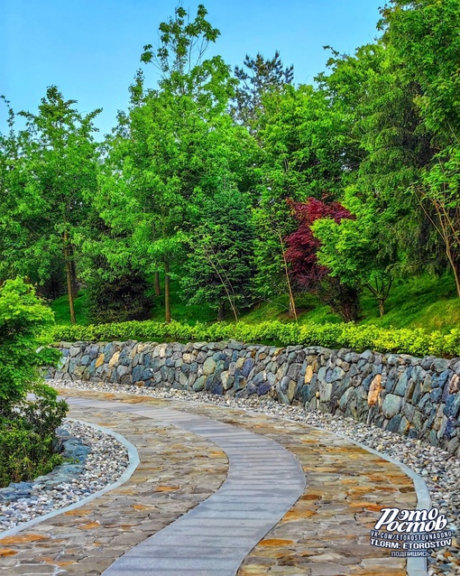 🌳🌺 Японский сад в парке Галицкого в Краснодаре. До чего же красиво!..