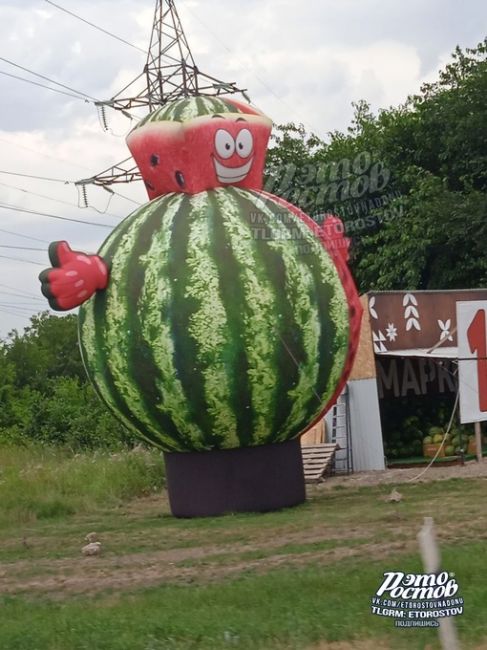 🍉 Ты не ты, когда голоден. Ярмарка на..