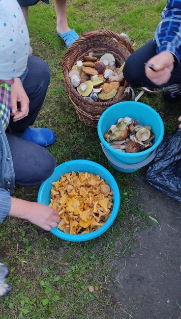 🗣️делитесь своими уловами в..