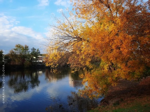 🍂 Осенние мотивы... а скоро осень. Кто-то её ждёт?  Фото: Марина..