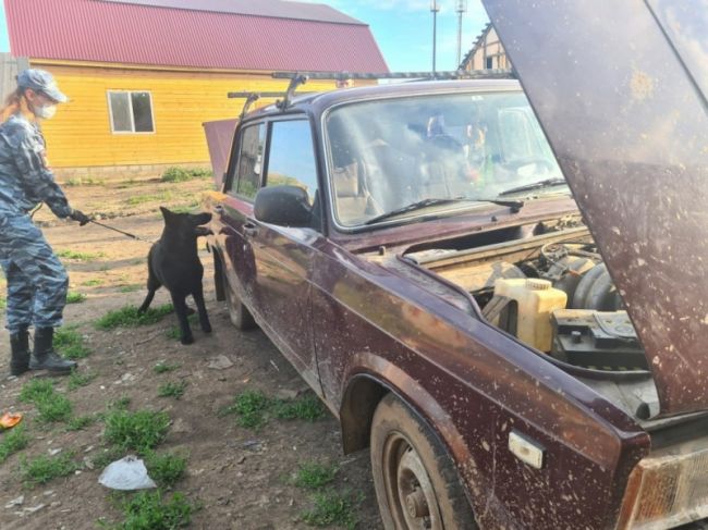 В Красноглинском районе Самары заметили ОМОН и кинологов с собаками  Полицейские проверяли частный..