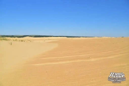 🏝Донская пустыня - уникальный природный объект Верхнедонского района  🏜  Представляет собой опустыненый..