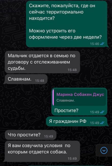 😕 Жителю Москвы не отдали собаку из приюта «Подбери собаку», так как он «не славянин» 
Сотрудница не взяла..