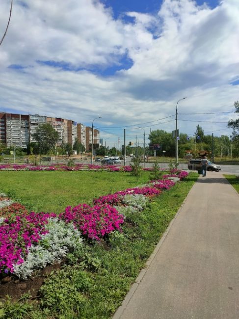 Проявление заботы местной администрации вызывает восхищение. С молчаливого согласия баскетбольная..