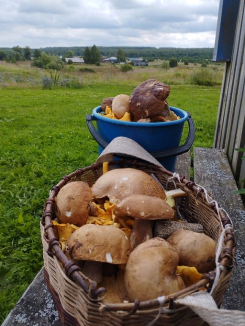 🗣️делитесь своими уловами в..