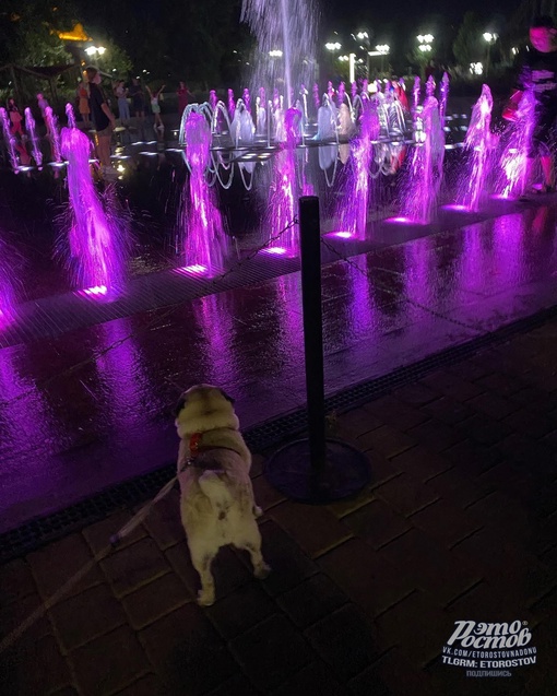 ⛲ Прогулка в парке..