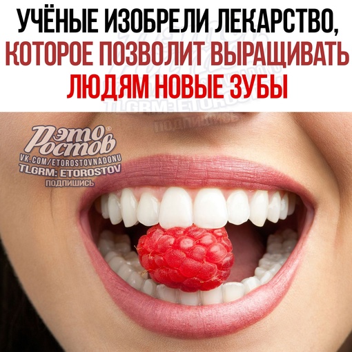 🦷 Учёные изобрели лекарство, которое позволит выращивать людям новые зубы. Клинические испытания должны..