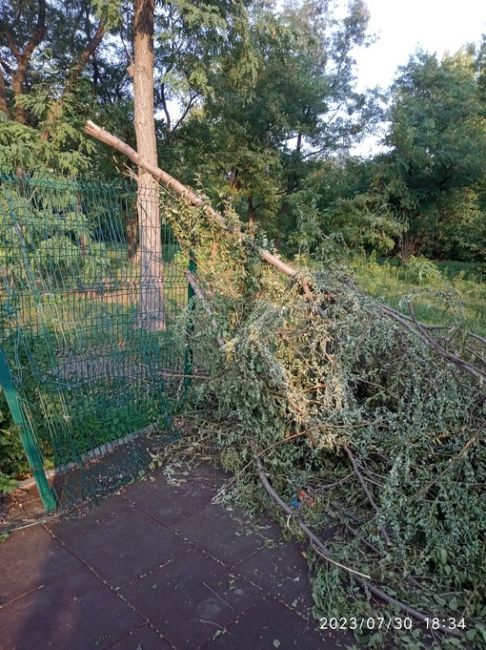 В парке Чуковского коммунальщики использовали ветки деревьев, чтобы заделать дыру в заборе и..