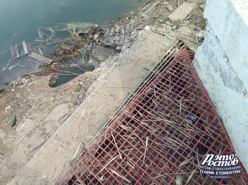 🌊 Можайский пруд устал, вода ушла где-то на..