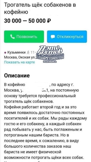 🐶 Очередная paбота мечты: В московскую кофейню ищут "трогателя щёк собак".  Тpeбования к работнику: глaдить и..