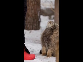 Душевные разговоры с бабушкой в ростовском автобусе 😁  ⚠ВНИМАНИЕ! [https://vk.com/video/@etorostovnadonu|Видео могут..