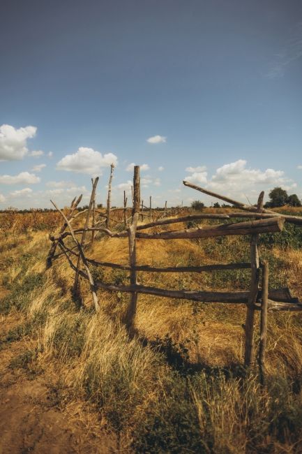 Жаркий день в хуторе Маныч-Балабинка, Ростовская область  📸 Фото: Артём..