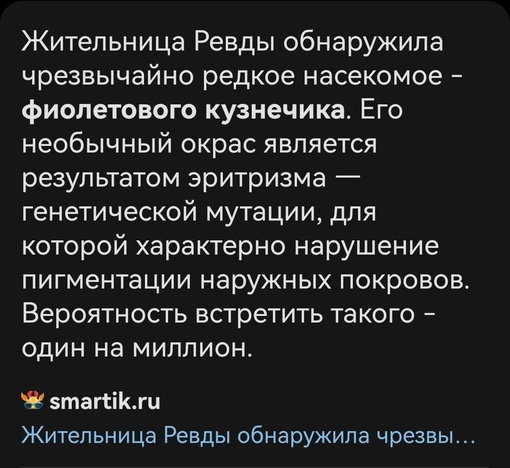 В детском саду Ревды нашли редкого фиолетового кузнечика..