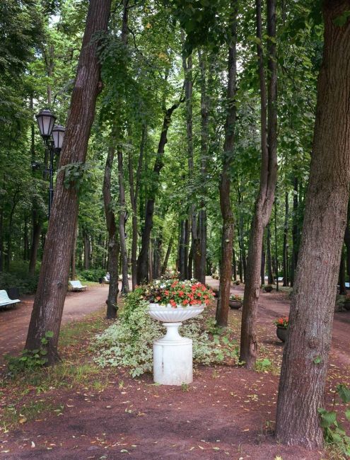 🌳 Нескучный сад — пейзажный парк в Москве, сохранившийся от дворянской усадьбы Нескучное  Фото: Inna..