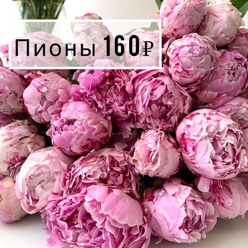 🔥ПИОНЫ 1️⃣6️⃣0️⃣₽🔥  [club216330647|@ruskus_nn]  ✅Цветы по выгодным ценам
✅Бесплатная доставка 
✅Опт от 1 пачки..