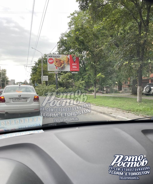 ⚠🌳«На проспекте Шолохова в течение дня дерево наклонялось, ростовчане продолжались под ним ходить. По..