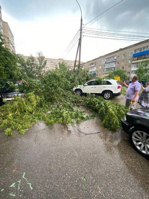 Арзамас пострадал от ночной непогоды  Из-за сильного ветра и дождя в городе упало примерно 30 деревьев. Помимо..