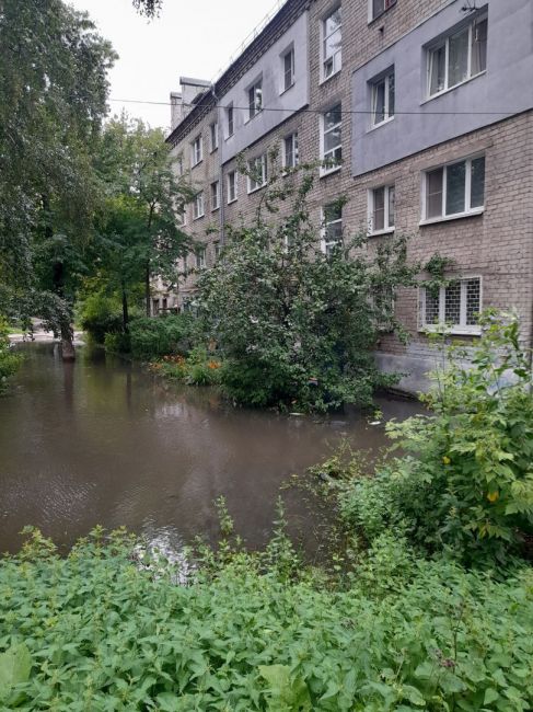 💧🌳☂  Что бывает если часть двора заасфальтировать, а на другой из года в год парковать машины на..