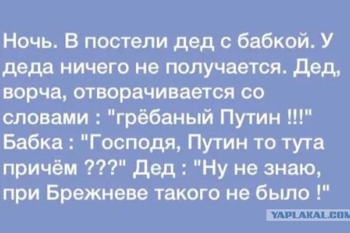 В детском саду Ревды нашли редкого фиолетового кузнечика..