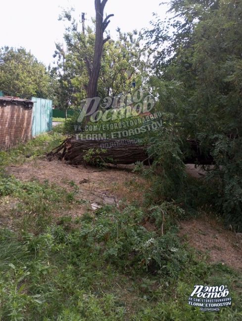 🌳⚠ «Сухое дерево прилегло на дом в Керченском переулке, 107 еще 26 июня, и до сих пор его не распилили и не..