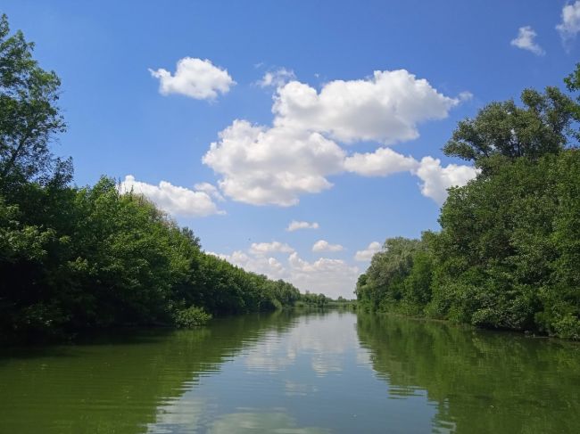 🌳 Ст. Старочеркасская. Чистый пляж, низкие цены в кафе, уличных развлечениях. Отличное место для отдыха с..