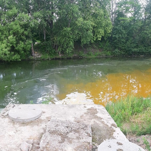 А это река Ижора в Колпино, у перекрестка Загородной улицы с переулком Саперным.👀 
Бригада «Водоканала»..