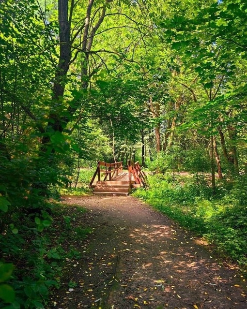 🌿Зелёные джунгли в..