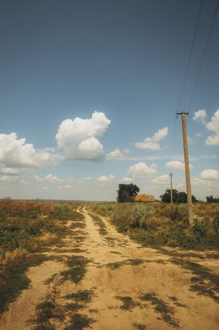 Жаркий день в хуторе Маныч-Балабинка, Ростовская область  📸 Фото: Артём..