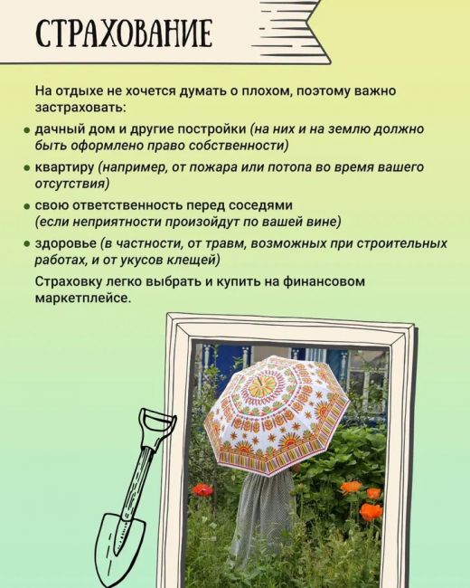 🌲Дачный сезон в самом разгаре. А это значит, что многие проводят время на свежем воздухе, едят овощи прямо с..