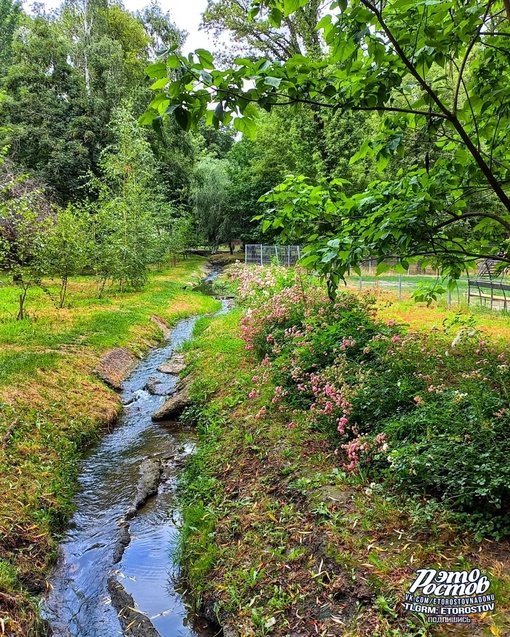 🌳🌺 Парк имени Октября на ул...