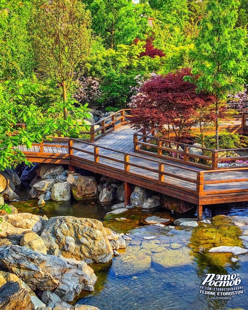 🌳🌺 Японский сад в парке Галицкого в Краснодаре. До чего же красиво!..