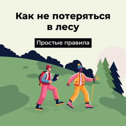 Как не потеряться в лесу. Послушали эфир Центра управления регионом Нижегородской области и собрали для вас..